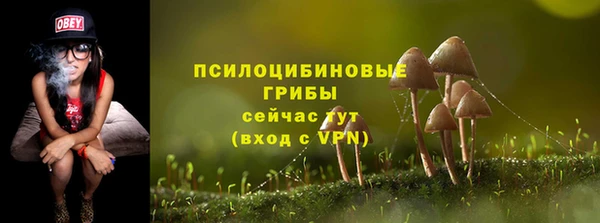 дживик Белоозёрский